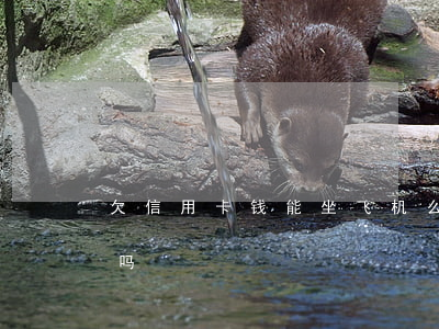 欠信用卡钱能坐飞机么(欠信用卡可以坐飞机吗)