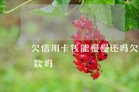 欠信用卡钱能慢慢还吗 欠信用卡的钱还能贷款吗
