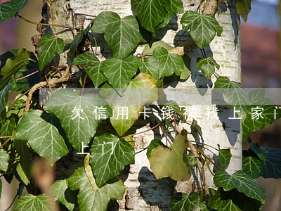 欠信用卡钱被找上家门（信用卡逾期被警察找上门）