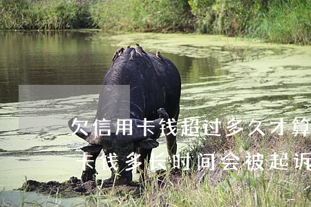 欠信用卡钱超过多久才算过起诉期-欠信用卡钱多长时间会被起诉