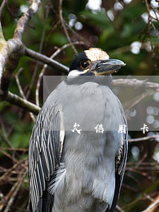 欠信用卡银行要走程序