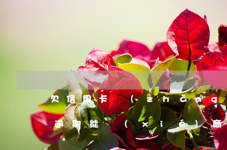 欠信用卡長(zhǎng)時(shí)間逾期能協(xié)商嗎-欠信用卡可以協(xié)商嗎