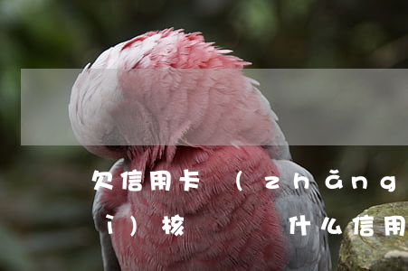 欠信用卡長(zhǎng)期不還會(huì)核銷嗎(為什么信用卡逾期了一定要注銷呢)