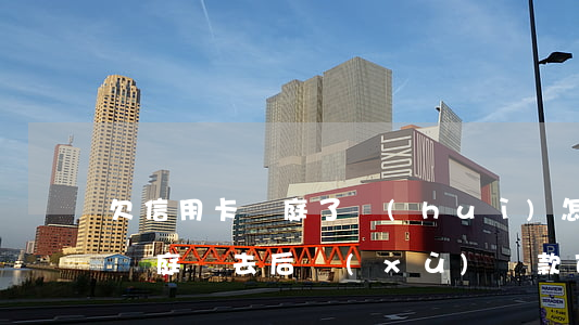 欠信用卡開庭了會(huì)怎樣(欠信用卡開庭沒去后續(xù)還款可以嗎)
