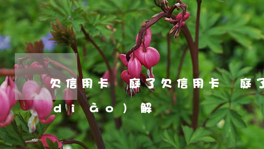 欠信用卡開庭了(欠信用卡開庭了還可以調(diào)解嗎)