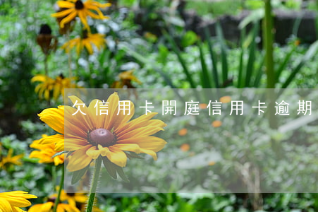 欠信用卡開庭（信用卡逾期收到開庭通告）