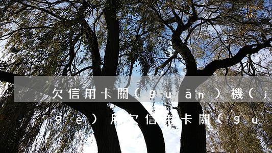 欠信用卡關(guān)機(jī)2個(gè)月(欠信用卡關(guān)機(jī)2個(gè)月還能用嗎)