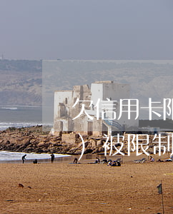 欠信用卡限制出境嗎-欠信用卡會(huì)被限制出境嗎