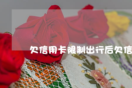 欠信用卡限制出行后(欠信用卡限制高消費)