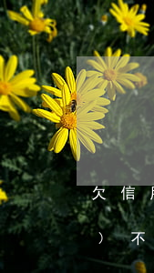 欠信用卡離婚受影響嗎(欠信用卡會(huì)不會(huì)影響結(jié)婚)