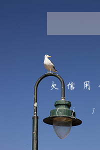 欠信用卡難不難做高鐵 欠信用卡不能坐飛機(jī)高鐵