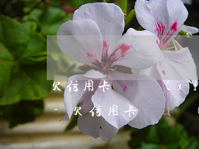欠信用卡電話協(xié)商沒用該怎么辦-欠信用卡電話協(xié)商沒用該怎么辦呢