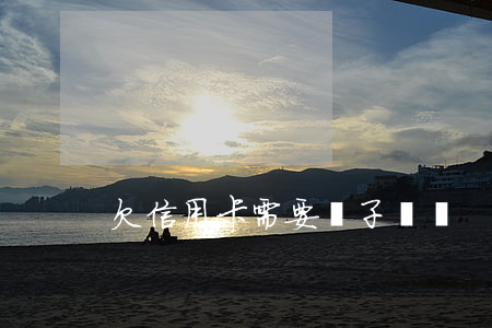 欠信用卡需要兒子償還