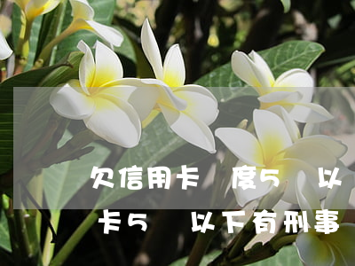欠信用卡額度5萬以內(nèi)-欠信用卡5萬以下有刑事責(zé)任嗎