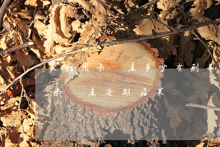欠信用卡額度多少有刑事責(zé)任（信用卡額度逾期后果）