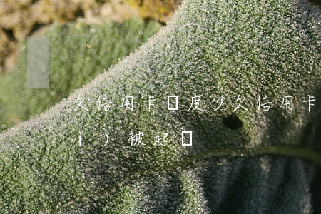 欠信用卡額度少 欠信用卡額度多少會(huì)被起訴