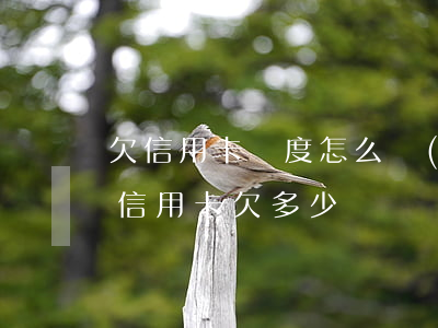 欠信用卡額度怎么認(rèn) 怎樣能知道信用卡欠多少