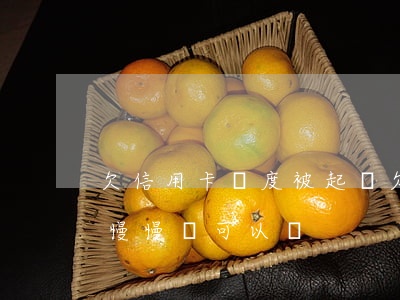 欠信用卡額度被起訴(欠信用卡的錢被起訴了慢慢還可以嗎)