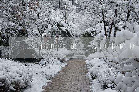 欠信用卡黑戶（信用卡逾期多少黑戶）