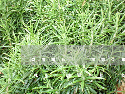 欠信用社1萬逾期9年還能分期嗎-欠信用社1萬逾期9年還能分期嗎