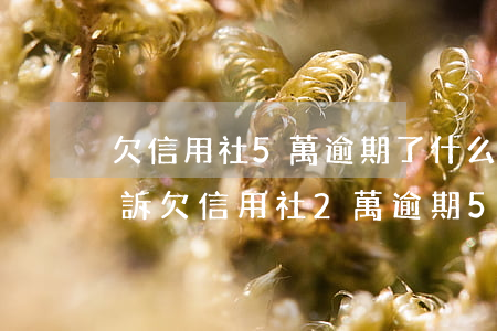 欠信用社5萬逾期了什么時(shí)候起訴(欠信用社2萬逾期5年要還多少)