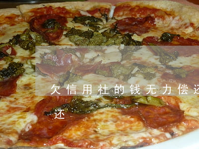 欠信用社的钱无力偿还(欠信用社的钱无力偿还)