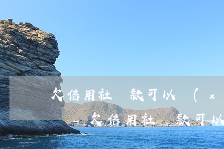 欠信用社貨款可以協(xié)商分期還款嗎-欠信用社貨款可以協(xié)商分期還款嗎