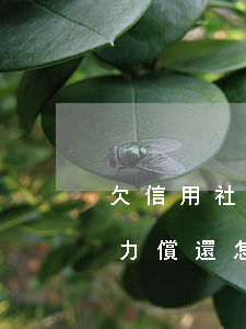 欠信用社貸款20萬(wàn)無(wú)力償還怎么辦-欠信用社貸款20萬(wàn)無(wú)力償還怎么辦呢