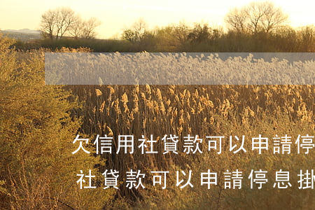 欠信用社貸款可以申請停息掛賬嗎-欠信用社貸款可以申請停息掛賬嗎知乎