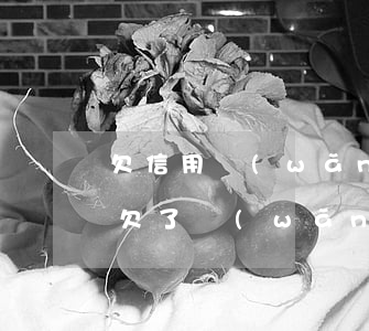 欠信用網(wǎng)貸全部逾期了怎么辦(欠了網(wǎng)貸逾期了怎么辦)