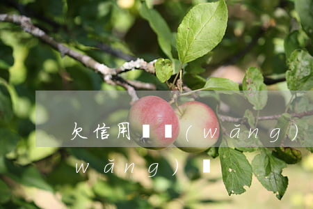 欠信用貸網(wǎng)貸逾期(有逾期網(wǎng)貸)