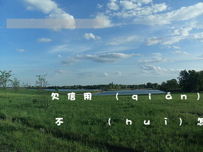 欠信用錢(qián)包網(wǎng)貸不還會(huì)怎么樣
