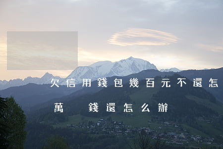 欠信用錢包幾百元不還怎么辦(欠信用卡十多萬沒錢還怎么辦)