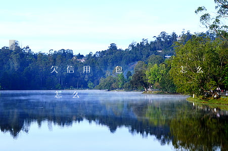 欠信用錢包沒錢還怎么辦(信用錢包無法還款怎么辦)