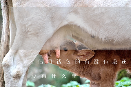 欠信用钱包的有没有没还的(信用钱包不还有没有什么事)