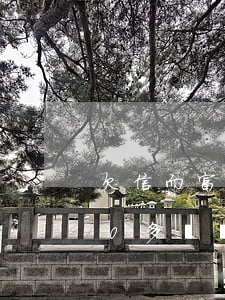欠信而富500逾期一年(信而富欠了1000多塊錢,一年會(huì)怎么樣)