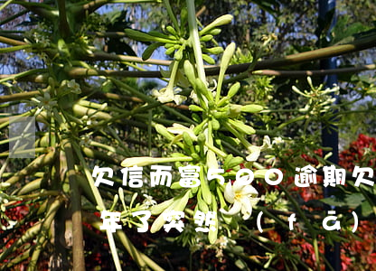 欠信而富500逾期(欠信而富500逾期幾年了突然發(fā)消息起訴我)