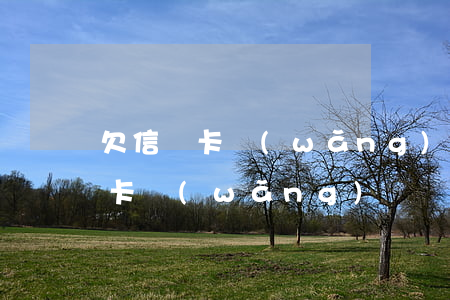 欠信譽卡網(wǎng)貸不還了(我欠信用卡,網(wǎng)貸,現(xiàn)在還不上,該怎么辦)