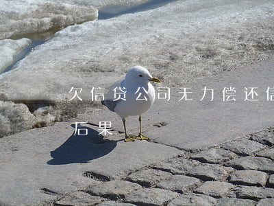 欠信贷公司无力偿还 信贷公司还不上有什么后果