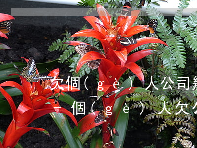 欠個(gè)人公司幾十萬無力償還啥后果-個(gè)人欠公司錢無力償還怎么辦