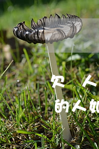 欠個人錢的人如何用信用卡還錢-欠個人錢的人如何用信用卡還錢呢