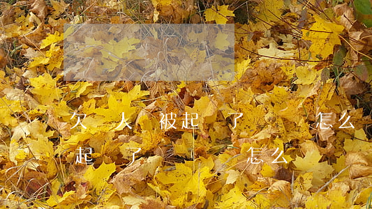 欠個人錢被起訴了沒錢還怎么辦(欠別人錢被起訴了沒錢還會怎么樣)