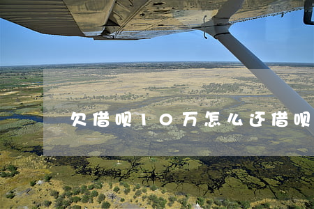 欠借呗10万怎么还(借呗欠10万你慌了吗)