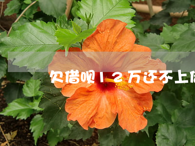 欠借呗12万还不上(借呗12万还不起了)