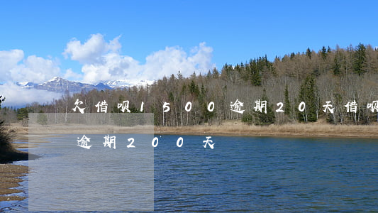 欠借呗1500逾期20天(借呗8500元逾期200天)
