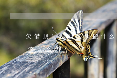 欠借呗1万没钱还做什么工作(借呗欠一万多该怎么办)