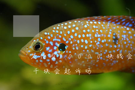 欠借呗20000块钱会被起诉吗(欠借呗几千块会起诉吗)