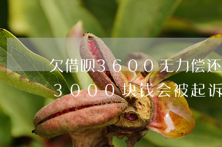 欠借呗3600无力偿还怎么处理-欠借呗3000块钱会被起诉吗