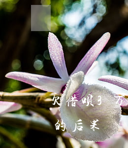 欠借呗3万会起诉吗(借呗欠三千不还被起诉的后果)