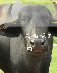 欠借呗7万多久起诉你(借呗逾期七千会起诉吗)